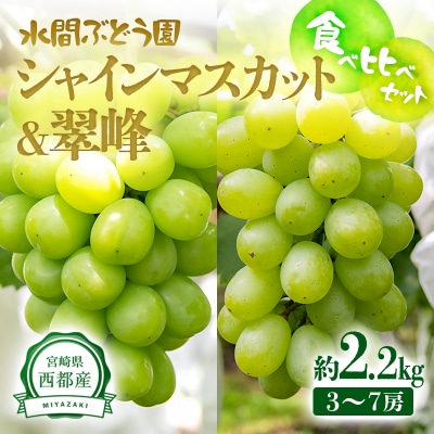 【先行受付】完熟ぶどう【翠峰・シャインマスカット詰合せ】約2.2kg宮崎県西都産[2468]