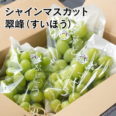 【先行受付】完熟ぶどう【翠峰・シャインマスカット詰合せ】約2.2kg宮崎県西都産[2468]