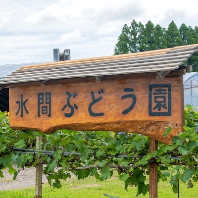 【先行受付】完熟ぶどう【翠峰・シャインマスカット詰合せ】約2.2kg宮崎県西都産[2468]