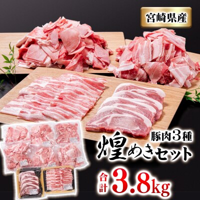 ＜年内に届く＞【計3.8kg】宮崎県産豚肉3種バラ凍結小間切れ・焼肉・とんかつ[1953]