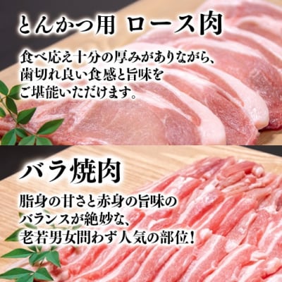 【計3.8kg】宮崎県産豚肉3種バラ凍結小間切れ・焼肉とんかつ[3121]