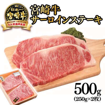 宮崎牛サーロインステーキ 500g(250g×2枚)　4等級以上宮崎県産黒毛和牛[2022]