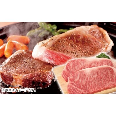 宮崎牛サーロインステーキ 500g(250g×2枚)　4等級以上宮崎県産黒毛和牛[2022]