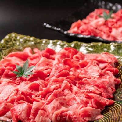 宮崎有田牛切り落とし1kg(500g×2)[2036]