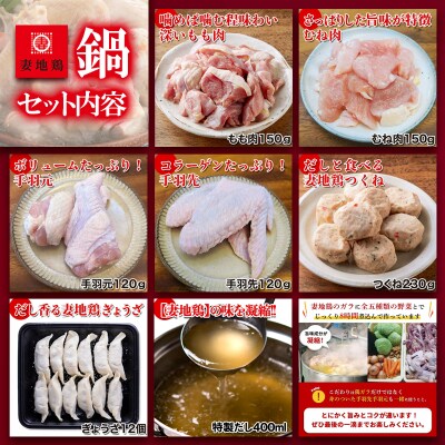 妻地鶏鍋セット(鶏もも肉・鶏むね肉・手羽・つくね・ぎょうざ・だし)[1485]