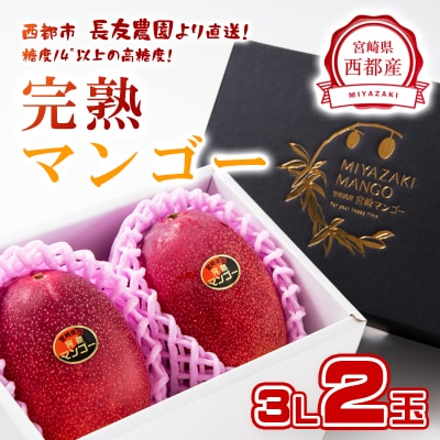 糖度14度以上2玉計900g　長友農園完熟マンゴー(3L×2)宮崎県西都産【先行受付】[2886]