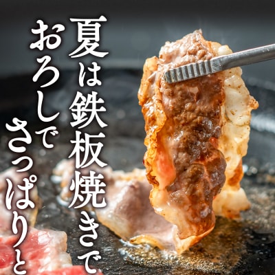 すき焼き用食べ比べスライス3種セット900g　牛肉/ロース・バラ　モモorカタ[2819]