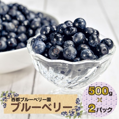 朝どれ!!新鮮生ブルーベリー250g×4　計1kg西都ブルーベリー農園【先行受付】[1889]