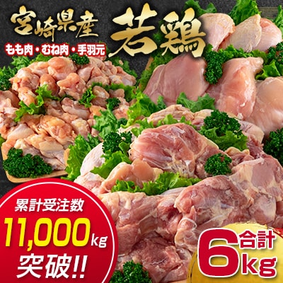 宮崎県産若鶏6kgセット もも肉 むね肉 手羽元[訳あり]【さとふる限定】[2350]