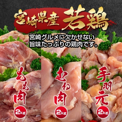 宮崎県産若鶏6kgセット もも肉 むね肉 手羽元[訳あり]【さとふる限定】[2350]