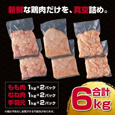 宮崎県産若鶏6kgセット もも肉 むね肉 手羽元[訳あり]【さとふる限定】[2350]