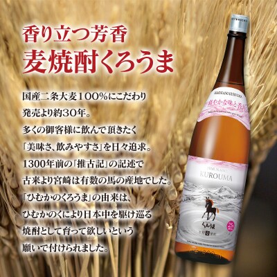【3ヶ月 定期便】神楽酒造 3種厳選銘柄焼酎 2本×3回[1134]
