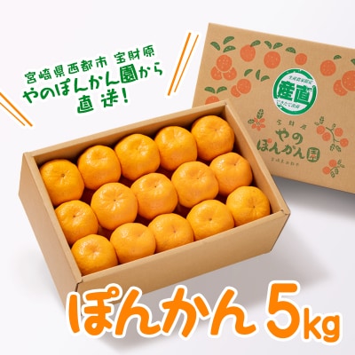 宮崎県西都産ぽんかん5kg　宝財原やのぽんかん【先行受付】[2742]