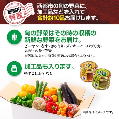 【先行受付・5ヶ月定期便】野菜・特産詰め合わせセット[2612]