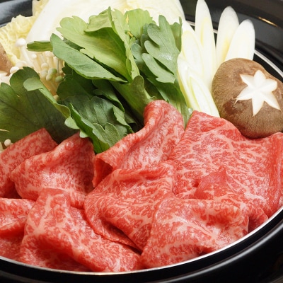 【季節の定期便】西都まるごと堪能セット(令和9年12ヶ月定期便プレミアムコース )[3323]