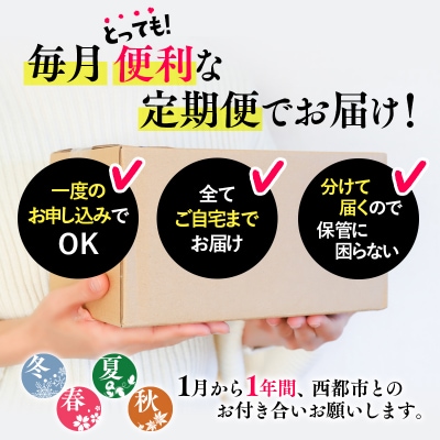 【季節の定期便】西都まるごと堪能セット(令和8年12ヶ月定期便)　シルバーコース[1383]