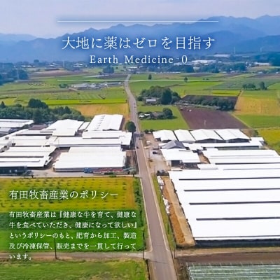 【計1.8kg】食べ比べ切落し2種&グルメハンバーグ　国産牛・黒毛和牛[2089]