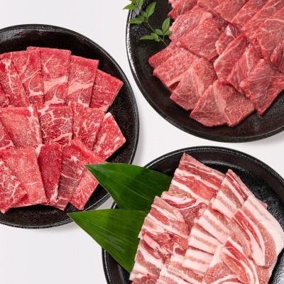 【宮崎牛&宮崎県産豚肉】計1.3kg焼肉セット3種食べ比べミヤチク[2779]