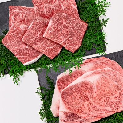 内閣総理大臣賞4連覇!宮崎牛ステーキ1kg 2種食べ比べ ミヤチク[2785]