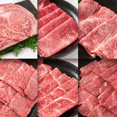 宮崎牛6ヶ月定期便Aコース 焼肉 すき焼き ステーキ[2789] 