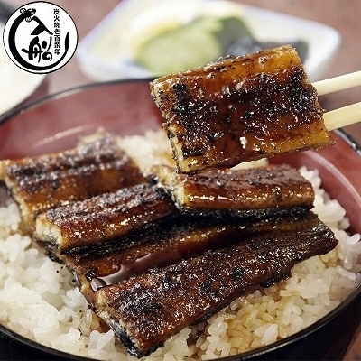 宮崎県西都市 うなぎの入船お食事券　9000円分[1583]