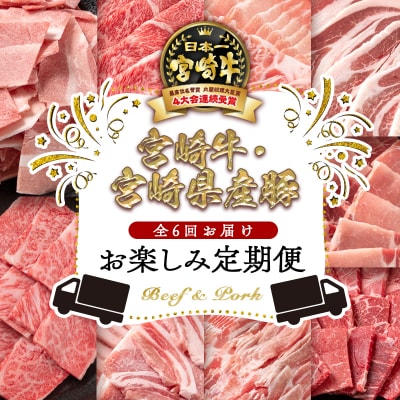 【6ヶ月定期便】宮崎牛&豚肉(宮崎県産) 焼肉 すき焼き しゃぶしゃぶC [2790]