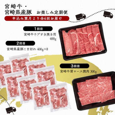 【6ヶ月定期便】宮崎牛&豚肉(宮崎県産) 焼肉 すき焼き しゃぶしゃぶC [2790]
