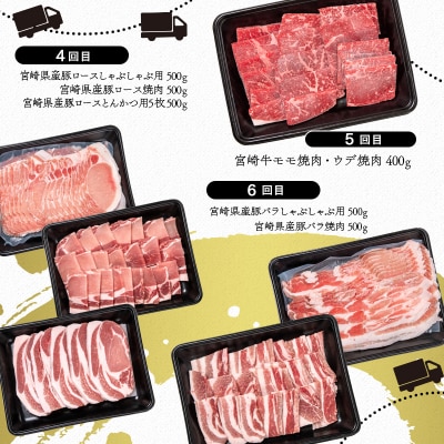 【6ヶ月定期便】宮崎牛&豚肉(宮崎県産) 焼肉 すき焼き しゃぶしゃぶC [2790]