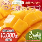 太陽のタマゴ2～3玉西都市特産品宮崎県産完熟マンゴー【先行受付】[2193]