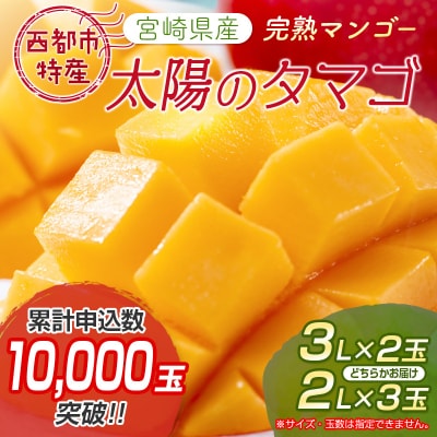 太陽のタマゴ2～3玉西都市特産品宮崎県産完熟マンゴー【先行受付】[2193]