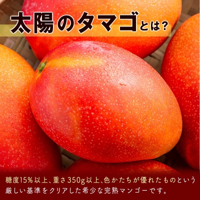 太陽のタマゴ2～3玉西都市特産品宮崎県産完熟マンゴー【先行受付】[2193]