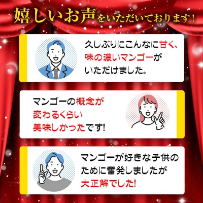 太陽のタマゴ2～3玉西都市特産品宮崎県産完熟マンゴー【先行受付】[2193]