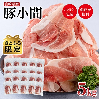 250g×20パック 小分け　合計5kg宮崎県産豚肉小間切れ【さとふる限定】[2858]