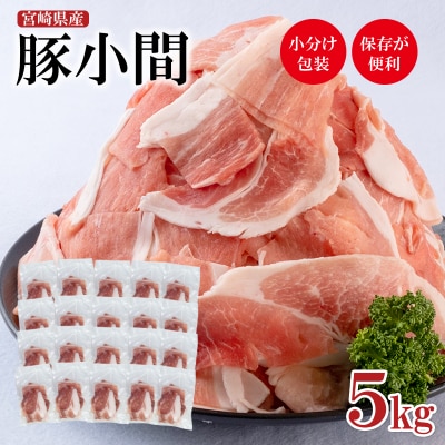 宮崎県産豚肉小間切れ250g×20パック 小分け合計5kg[2858]