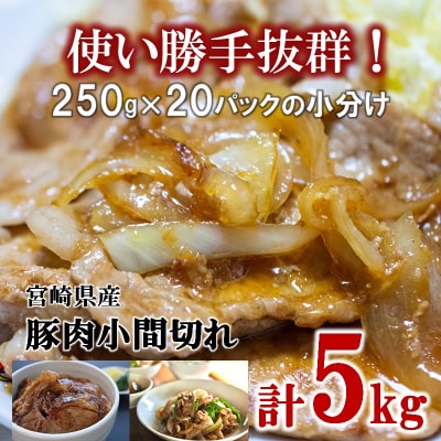 宮崎県産豚肉小間切れ250g×20パック 小分け合計5kg[2858]