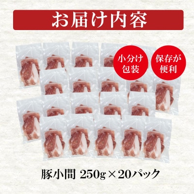 宮崎県産豚肉小間切れ250g×20パック 小分け合計5kg[2858]