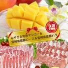 【3回定期便】みやざき完熟マンゴー&宮崎県産豚肉ロース&バラ肉　先行受付[2859]