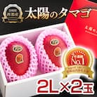 【太陽のタマゴ2玉】西都市産完熟マンゴー『先行受付』[2206]