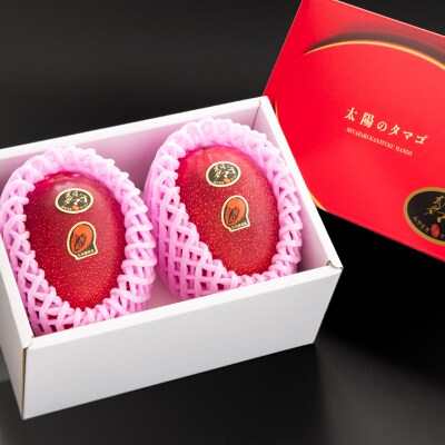 【太陽のタマゴ2玉】西都市産完熟マンゴー『先行受付』[2206]