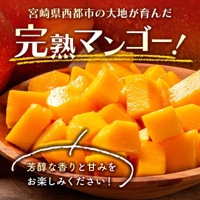 西都市特産品　訳あり完熟マンゴー2kg【先行受付】[2207]
