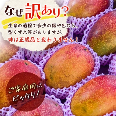 西都市特産品　訳あり完熟マンゴー2kg【先行受付】[2207]