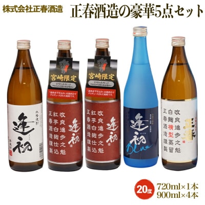 人気焼酎5本セット