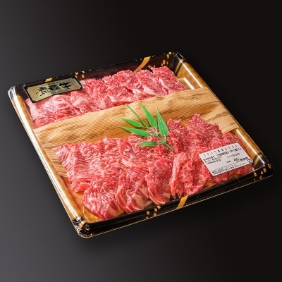 宮崎和牛「齋藤牛」焼肉盛り合わせ400g[2251]