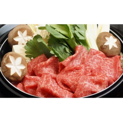 宮崎和牛 齋藤牛 ローススライス&赤身スライス 700g[2259]