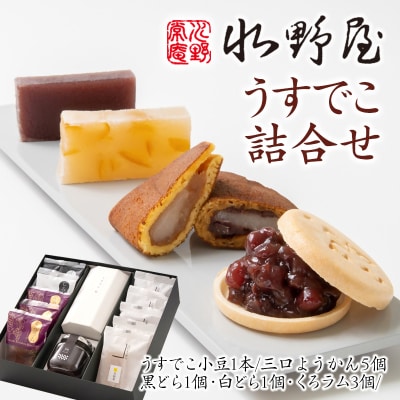 和菓子『水野屋』うすでこ詰合せ(最中・どら焼き・ようかん)[2322]