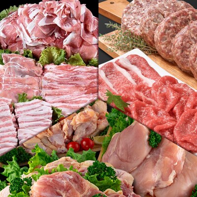 【3ヶ月定期便】 合計11.5kg!!牛・豚・鶏の肉三昧セット 6月からお届け[2329]