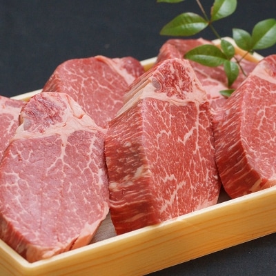 【宮崎有田牧場】黒毛和牛シャトーブリアンヒレステーキ180g×5枚(900g)牛肉ヒレ肉[2049]