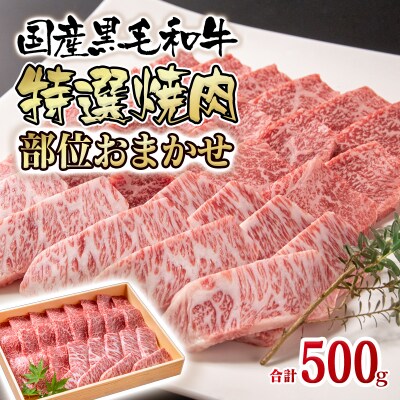 ＜年内に届く＞(12日決済まで)黒毛和牛おまかせ特選焼肉500g(モモ・バラ・ロース等)[2316]