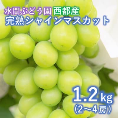 宮崎県,ぶどう・マスカットのお礼品・返礼品一覧 | ふるさと納税サイト