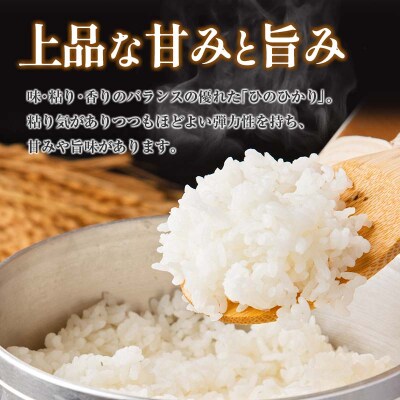 【3ヶ月定期便】新米 無洗米ヒノヒカリ5kg×3回 宮崎県産10月～12月お届け[2362]